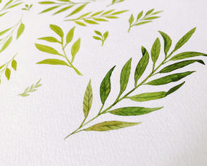 Doodle Leaves1